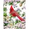 Diamond Dotz® Good Fortune Cardinal Diamond Painting Kit